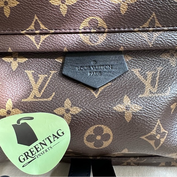 Louis Vuitton Palm Spring Backpack MM - Picture 8 of 12